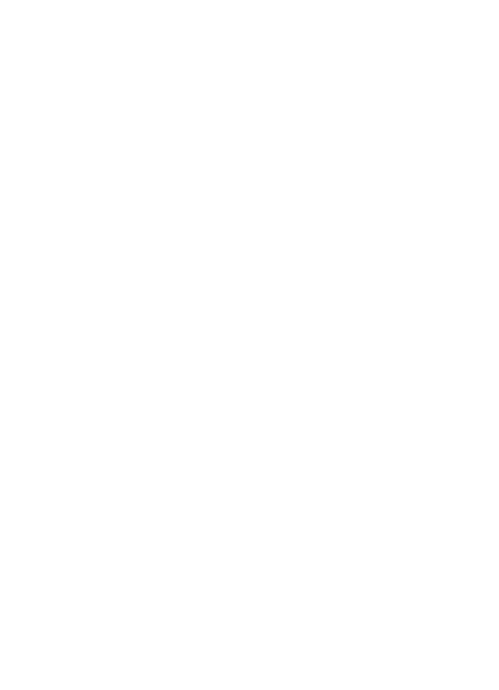 logo provincia pisa